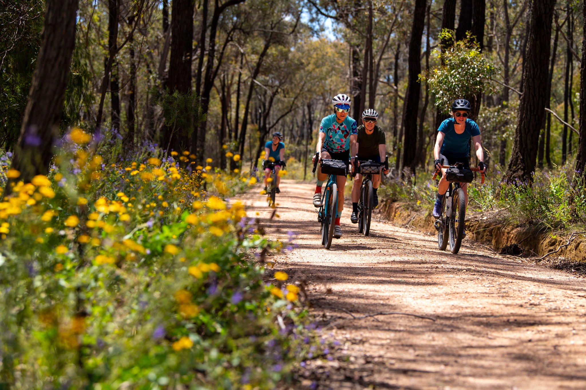 Chiltern Spring Cycling
